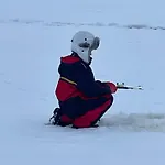 Niemelae With Jacuzzi Βίλα Melkoniemi