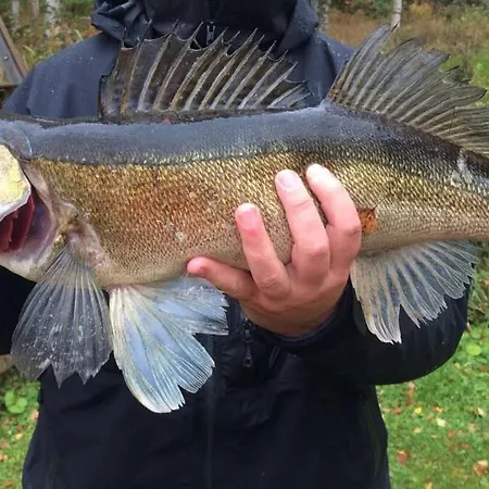 Fishing Niemelä Simpele Melkoniemi