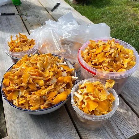 Villa Niemelae With Jacuzzi *