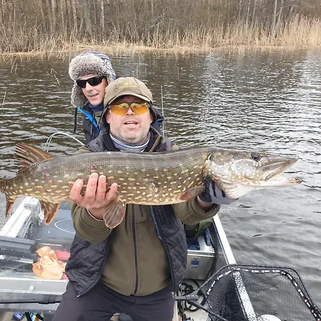 Fishing Niemelä Simpele Villa *