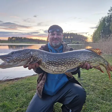 Villa Fishing Niemelä Simpele