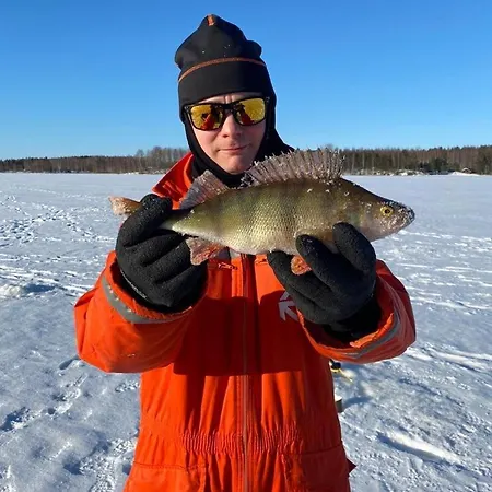 빌라 Niemelae With Jacuzzi Melkoniemi