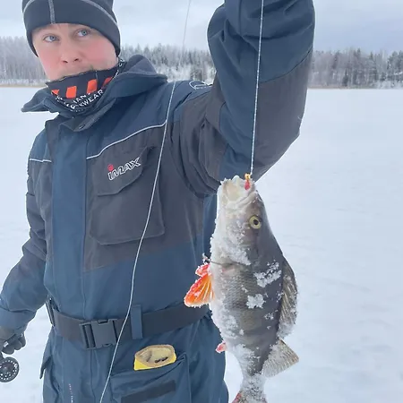 Niemelae With Jacuzzi * Melkoniemi