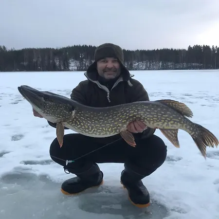 Villa Fishing Niemelä Simpele *