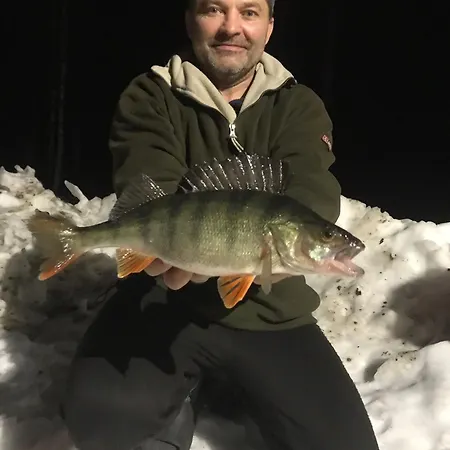 Fishing Niemelä Simpele Villa