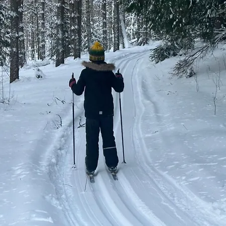 Niemelae With Jacuzzi Villa Melkoniemi