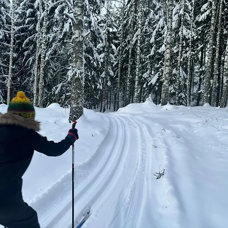 Niemelae With Jacuzzi Melkoniemi
