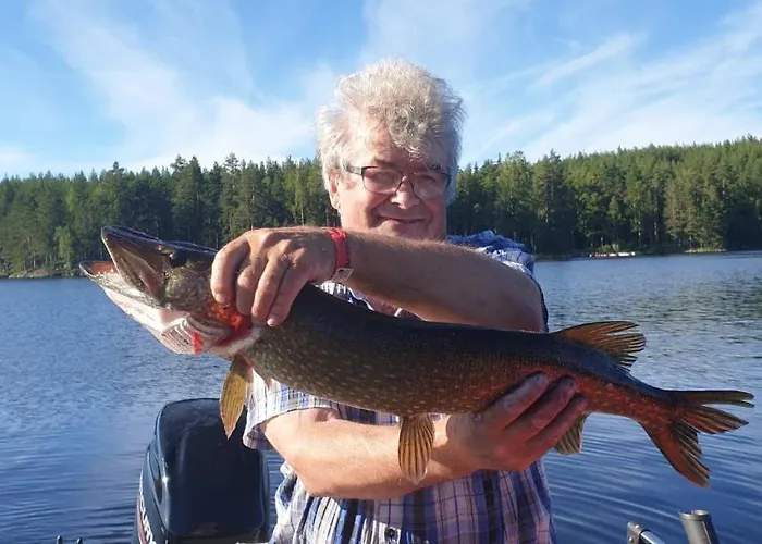 Villa Niemelae With Jacuzzi *