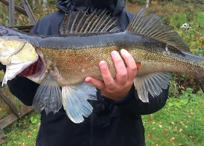Niemelae With Jacuzzi Melkoniemi