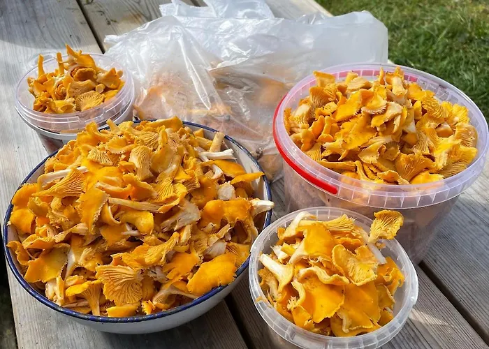 Villa Niemelae With Jacuzzi *