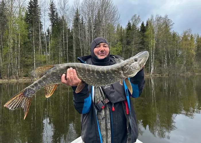 Niemelae With Jacuzzi Villa *