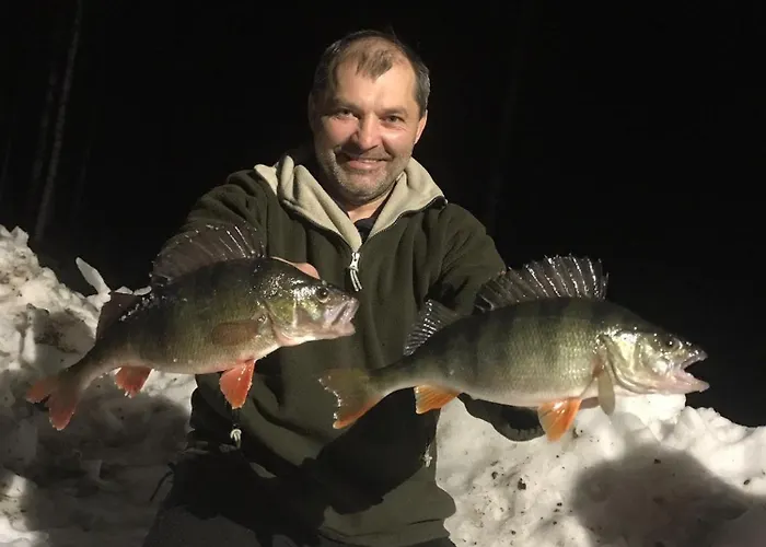 Niemelae With Jacuzzi Melkoniemi