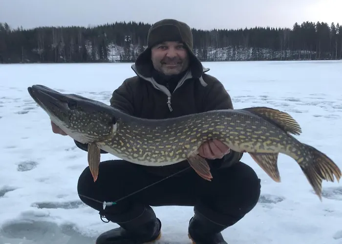 Villa Niemelae With Jacuzzi *