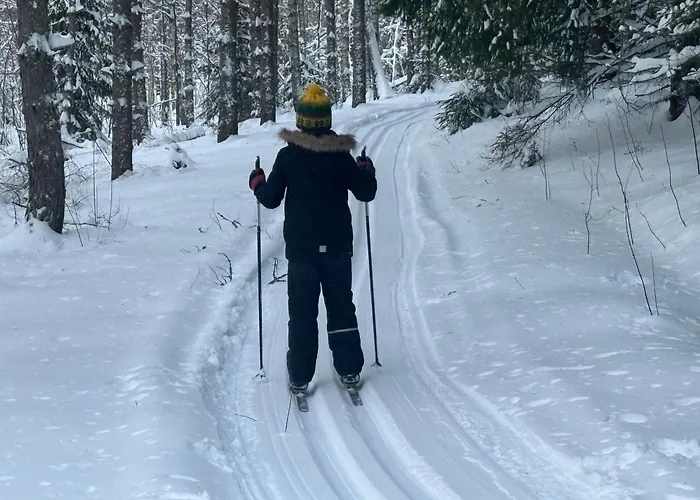 Niemelae With Jacuzzi Villa Melkoniemi