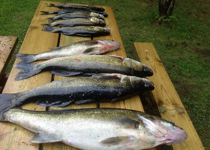 Niemelae With Jacuzzi